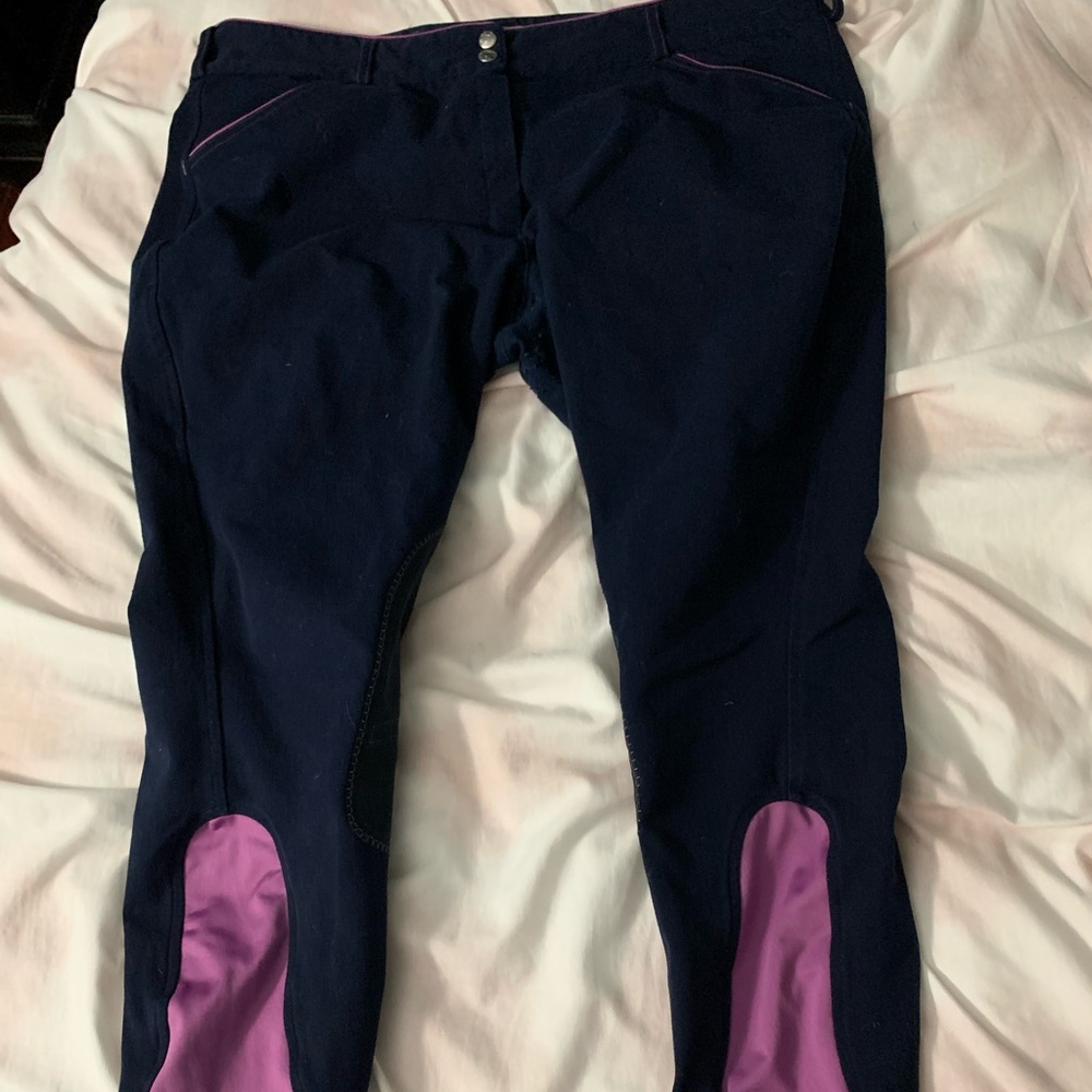 Dover Wellesley breeches